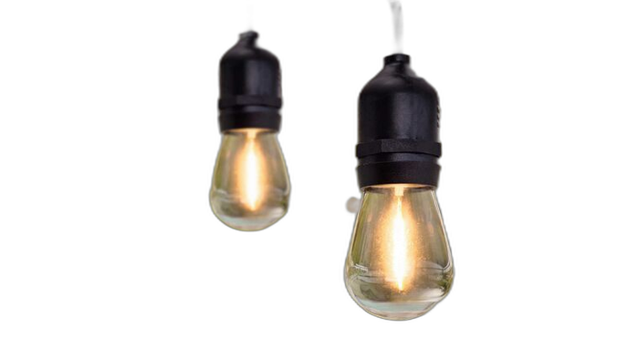 Edison Lights